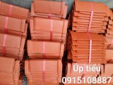 c77829dd7b5f9801c14e